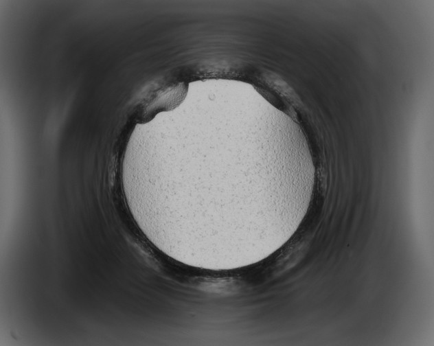 X0000084550458200703231740