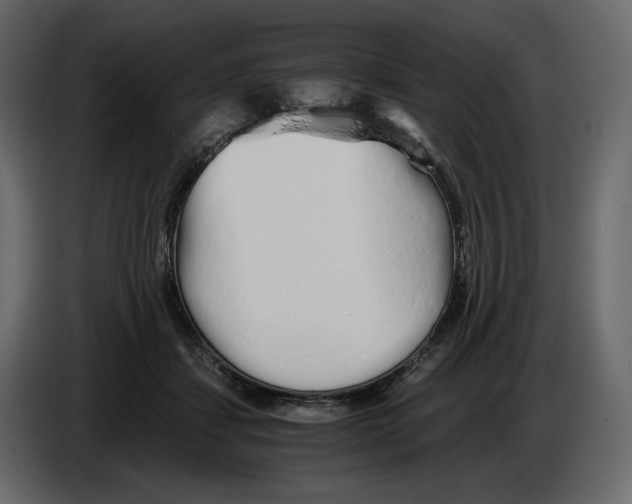 X0000084550459200703231740