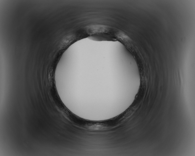 X0000084550460200703231740