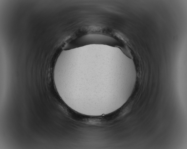 X0000084550462200703231740