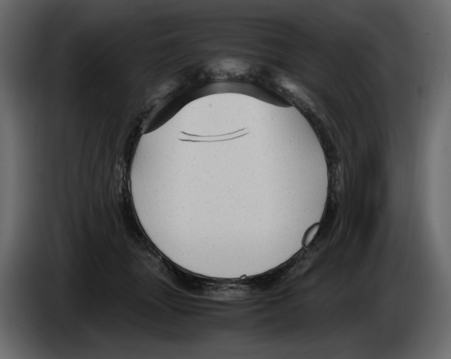 X0000084550463200703231740