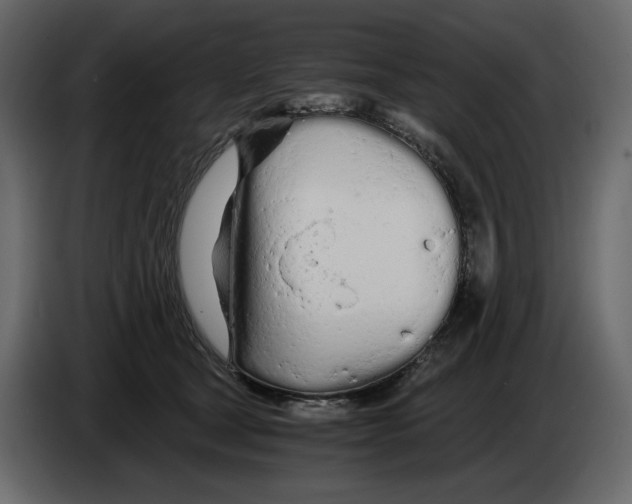 X0000084550465200703231740