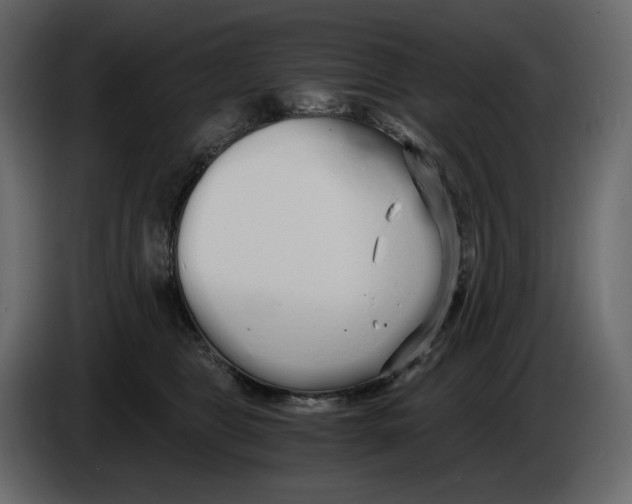 X0000084550469200703231740