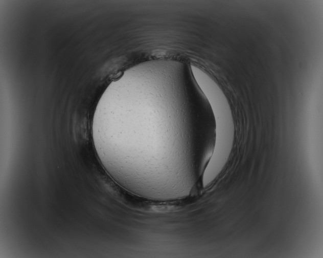 X0000084550470200703231740