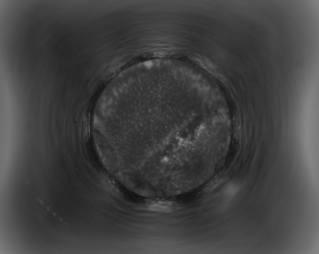 X0000084550471200703231740