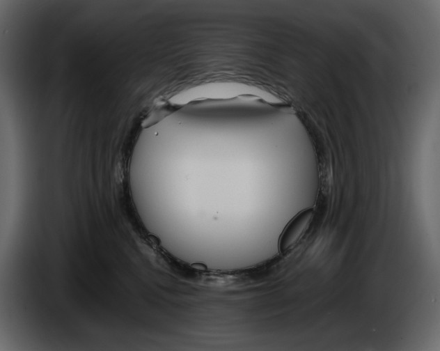 X0000084550472200703231740