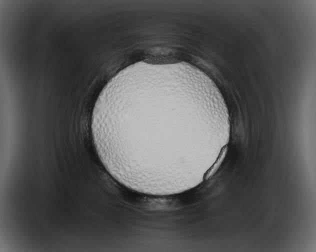 X0000084550473200703231740