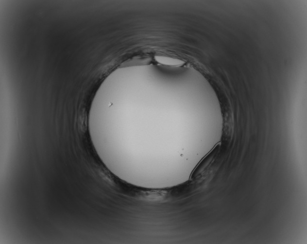 X0000084550474200703231740