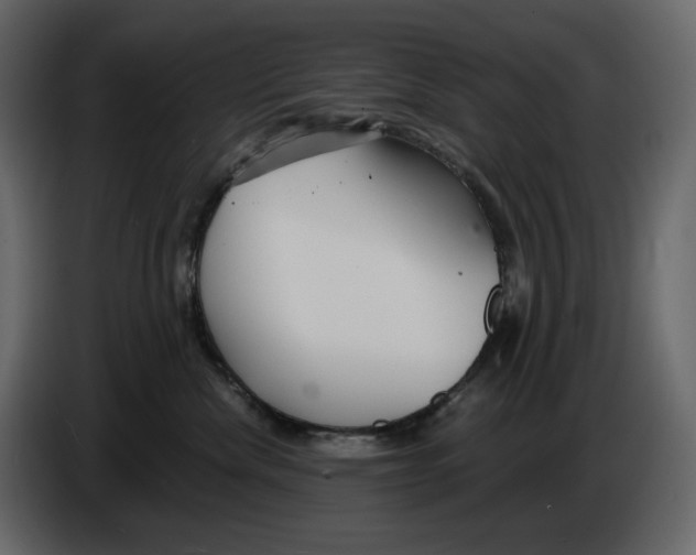 X0000084550476200703231740