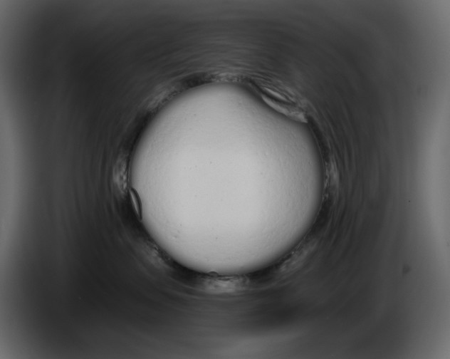 X0000084550479200703231740