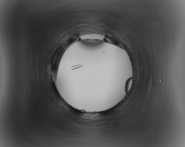 X0000084550480200703231740