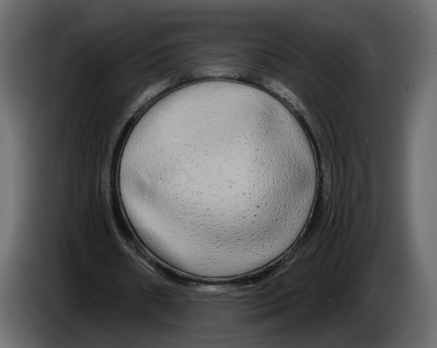 X0000084550482200703231740