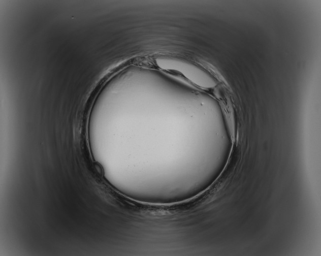 X0000084550483200703231740