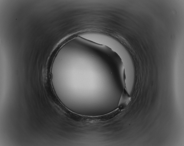 X0000084550484200703231740