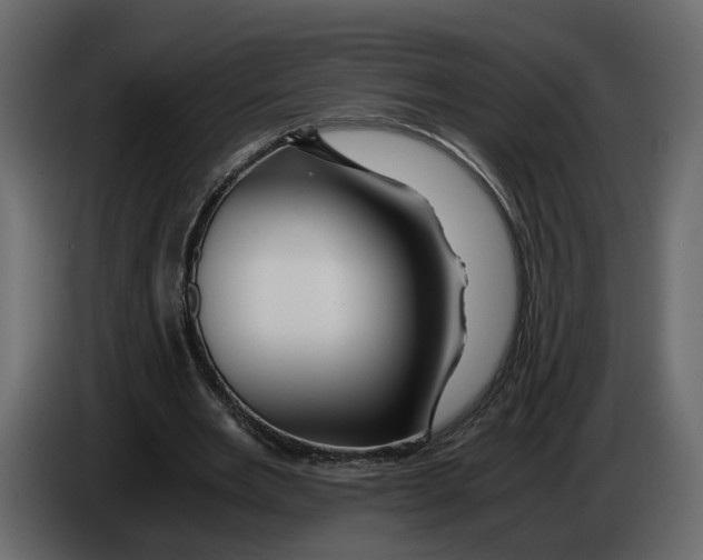 X0000084550485200703231740