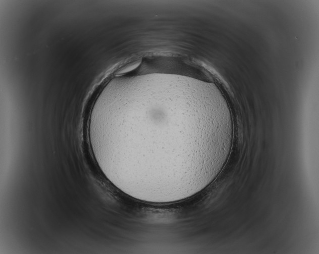 X0000084550486200703231740