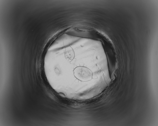 X0000084550487200703231740