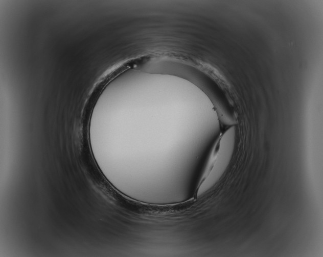 X0000084550488200703231740