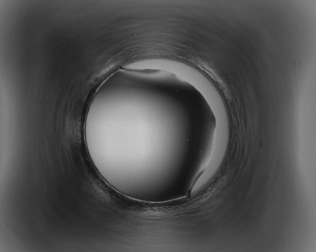 X0000084550489200703231739