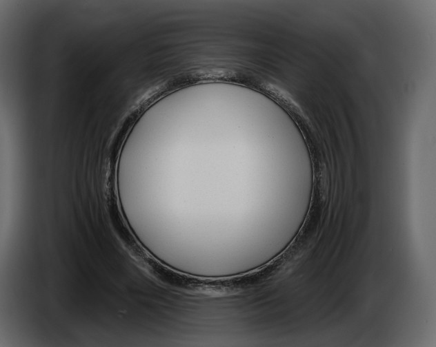 X0000084550490200703231739