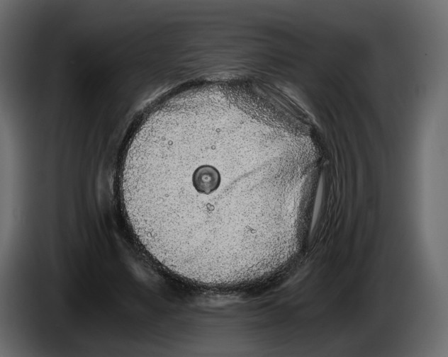 X0000084550491200703231739