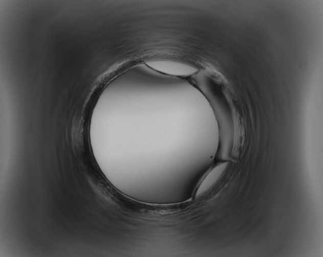 X0000084550492200703231739