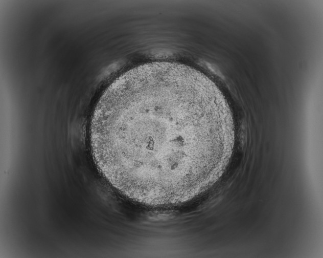 X0000084550495200703231739