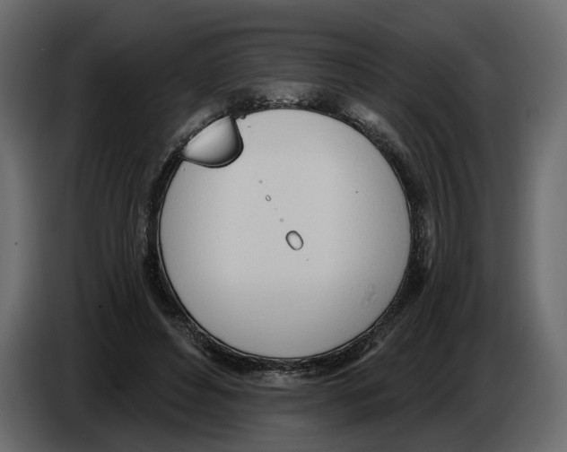 X0000084550496200703231739