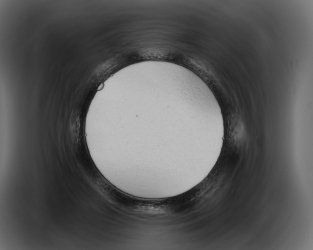 X0000084550498200703231739