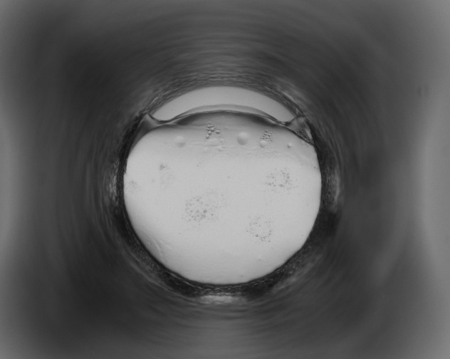 X0000084550499200703231739