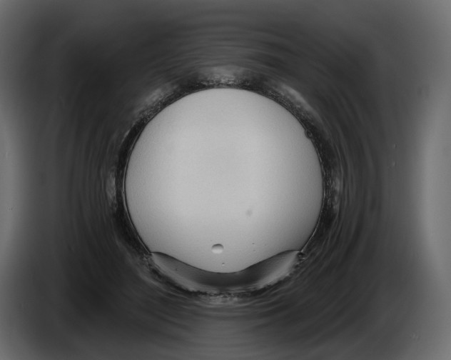 X0000084550500200703231739