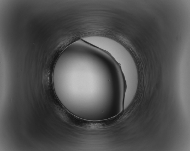 X0000084550501200703231739