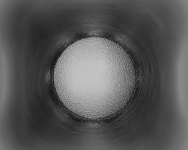 X0000084550502200703231739