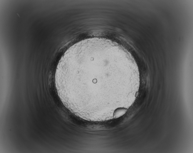 X0000084550503200703231739