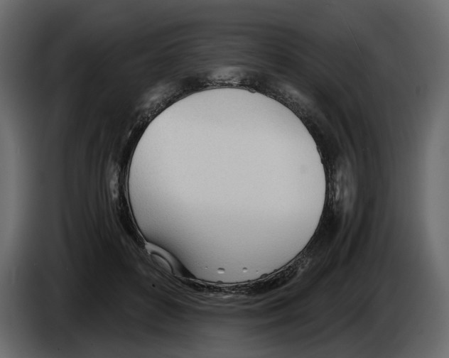 X0000084550504200703231739