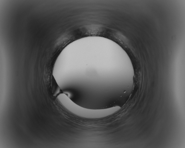 X0000084550505200703231739