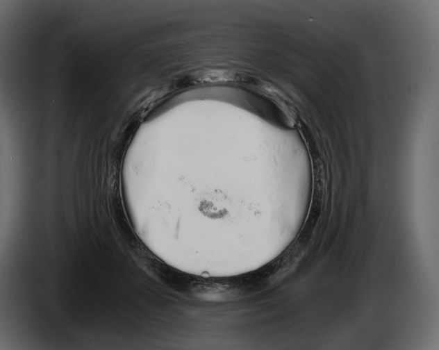 X0000084550507200703231739