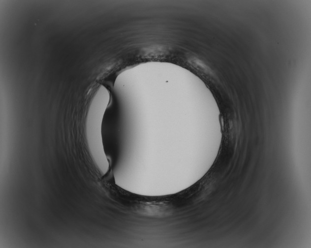 X0000084550508200703231739