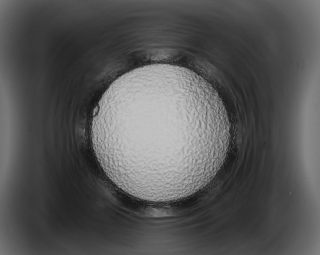 X0000084550510200703231739