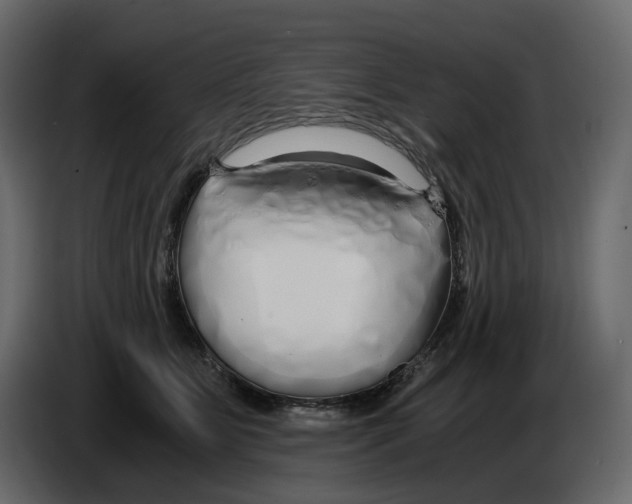 X0000084550515200703231739