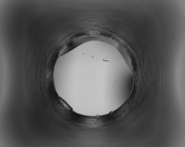 X0000084550521200703231739