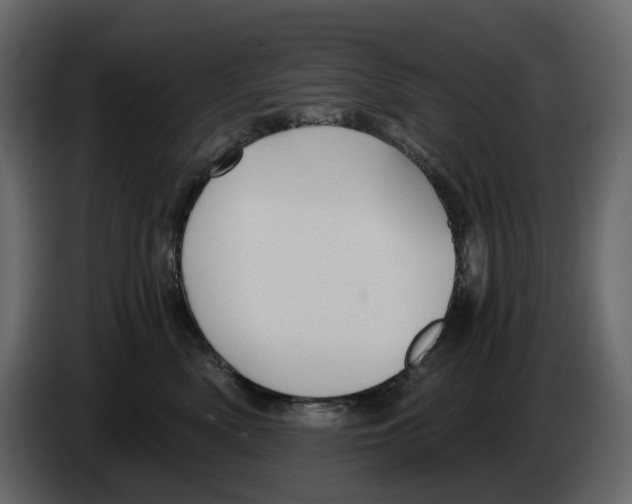 X0000084550522200703231739