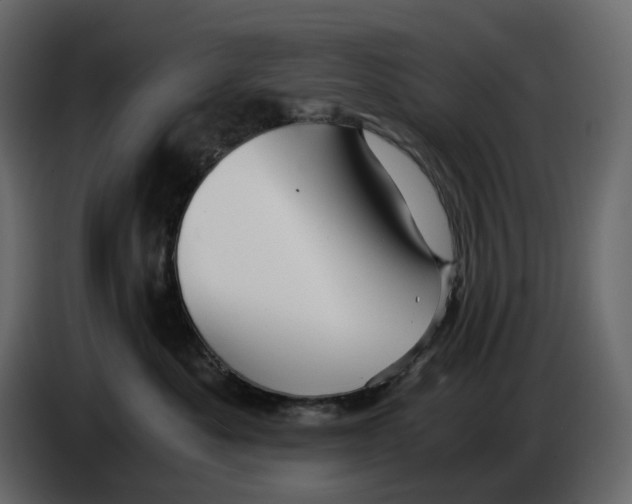 X0000084550525200703231739