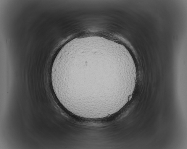 X0000084550529200703231738