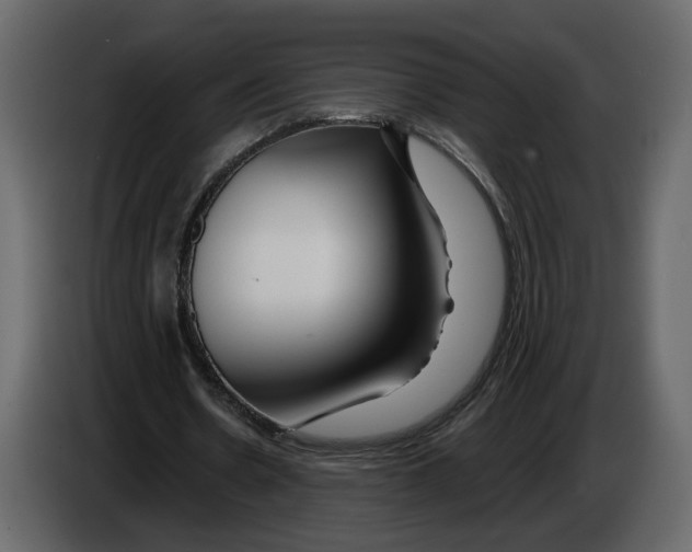 X0000084550530200703231738