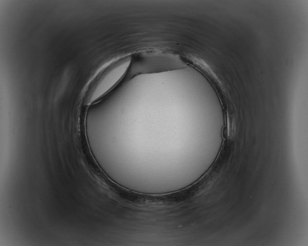 X0000084550531200703231738