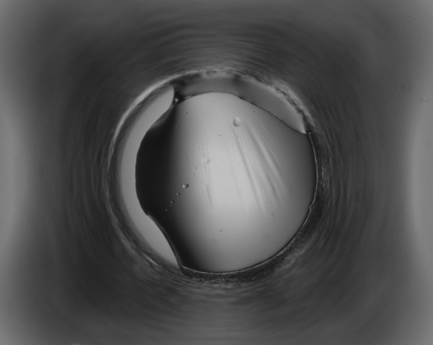 X0000084550532200703231738