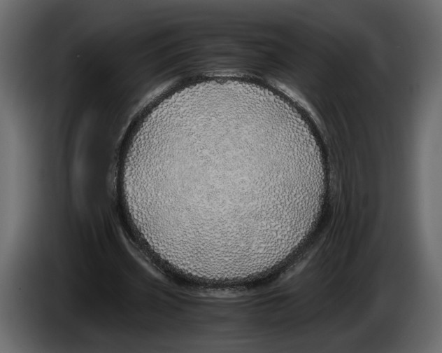 X0000084550533200703231738