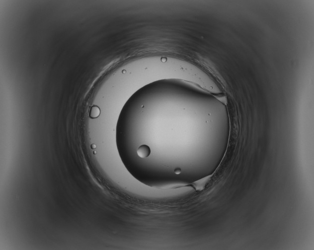 X0000084550534200703231738