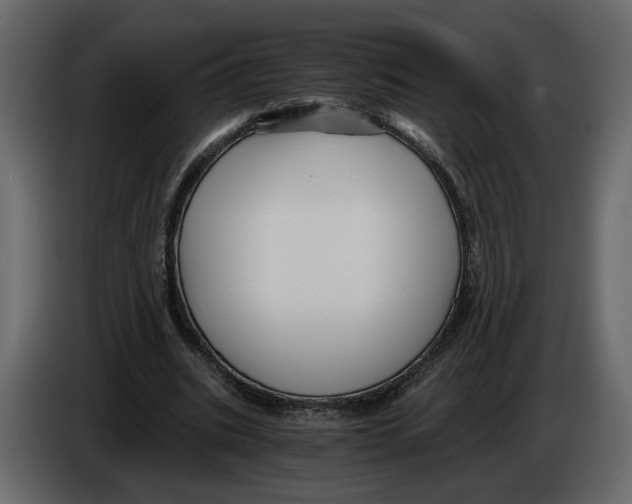 X0000084550535200703231738